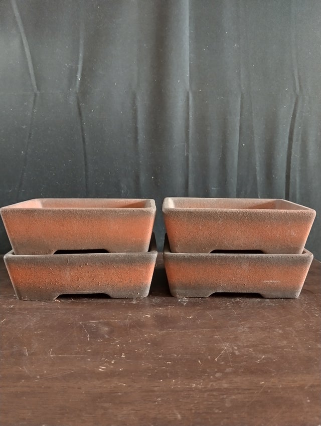 ヤナカーン　Dessert Capote Ceramics | Dragon's Garden LLC